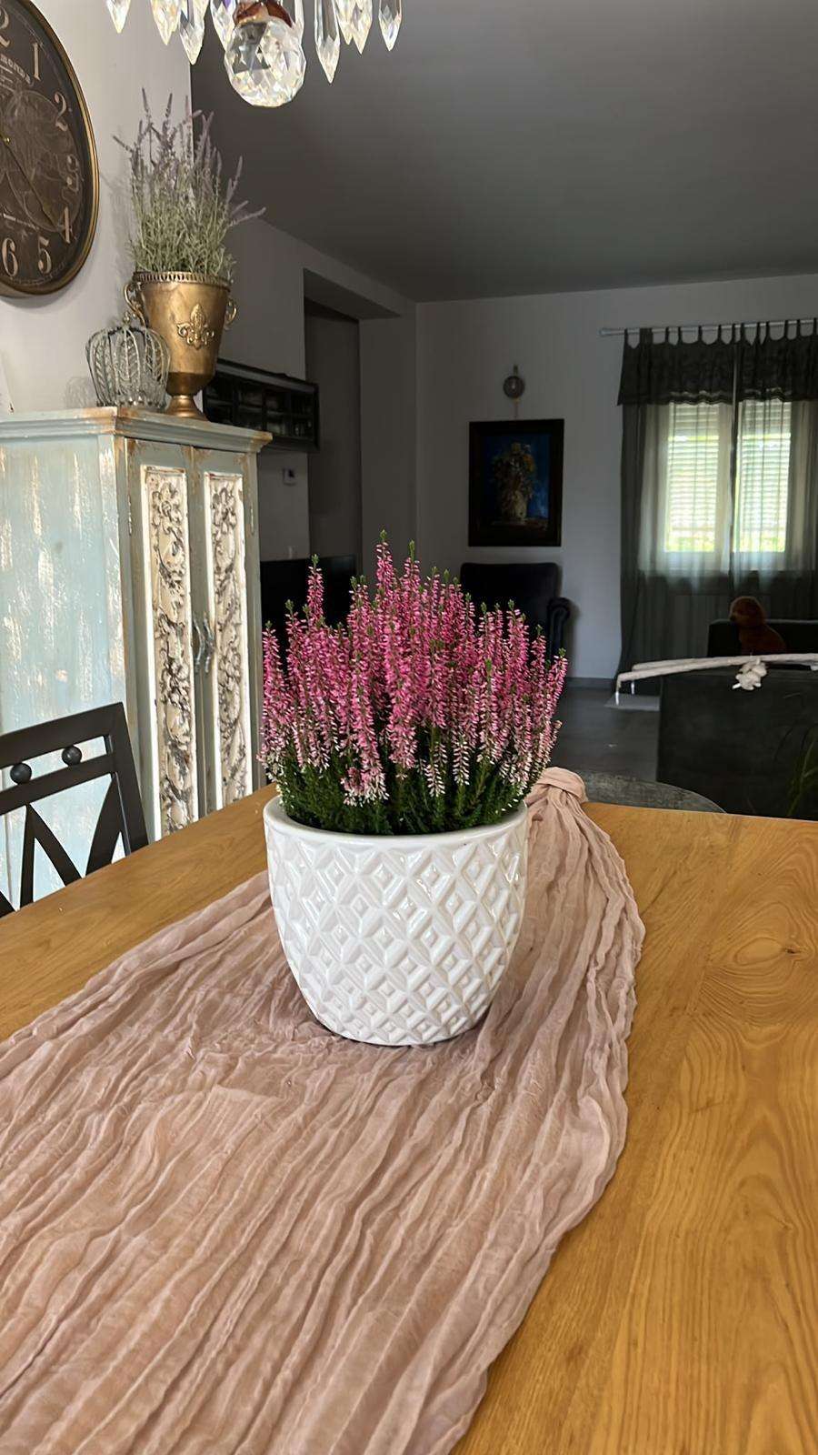  - foto 26