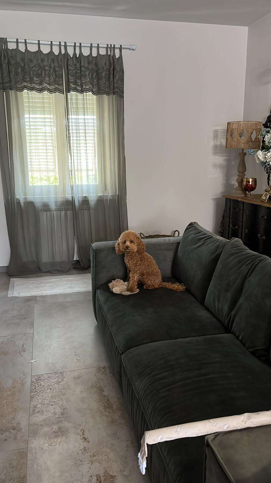  - foto 29