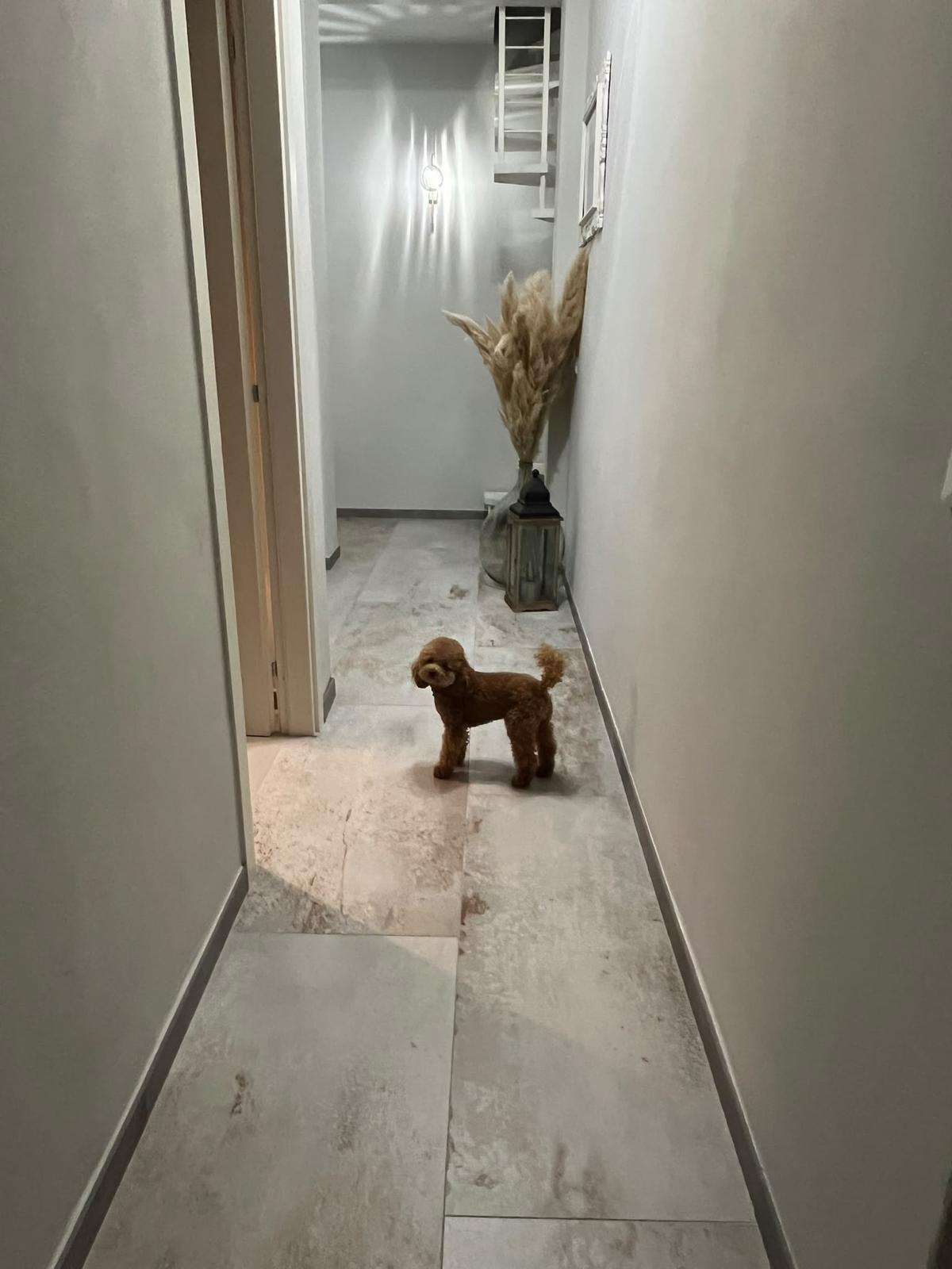  - foto 30