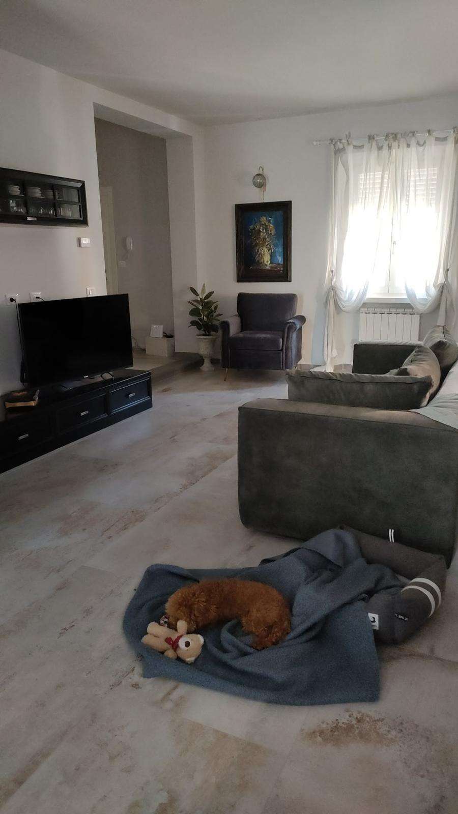  - foto 33