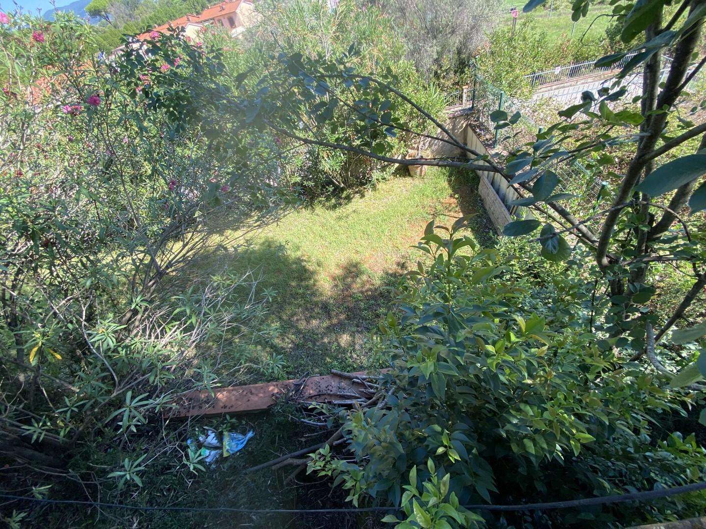  - foto 13