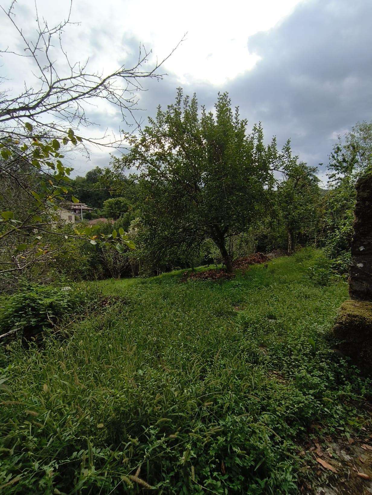  - foto 14