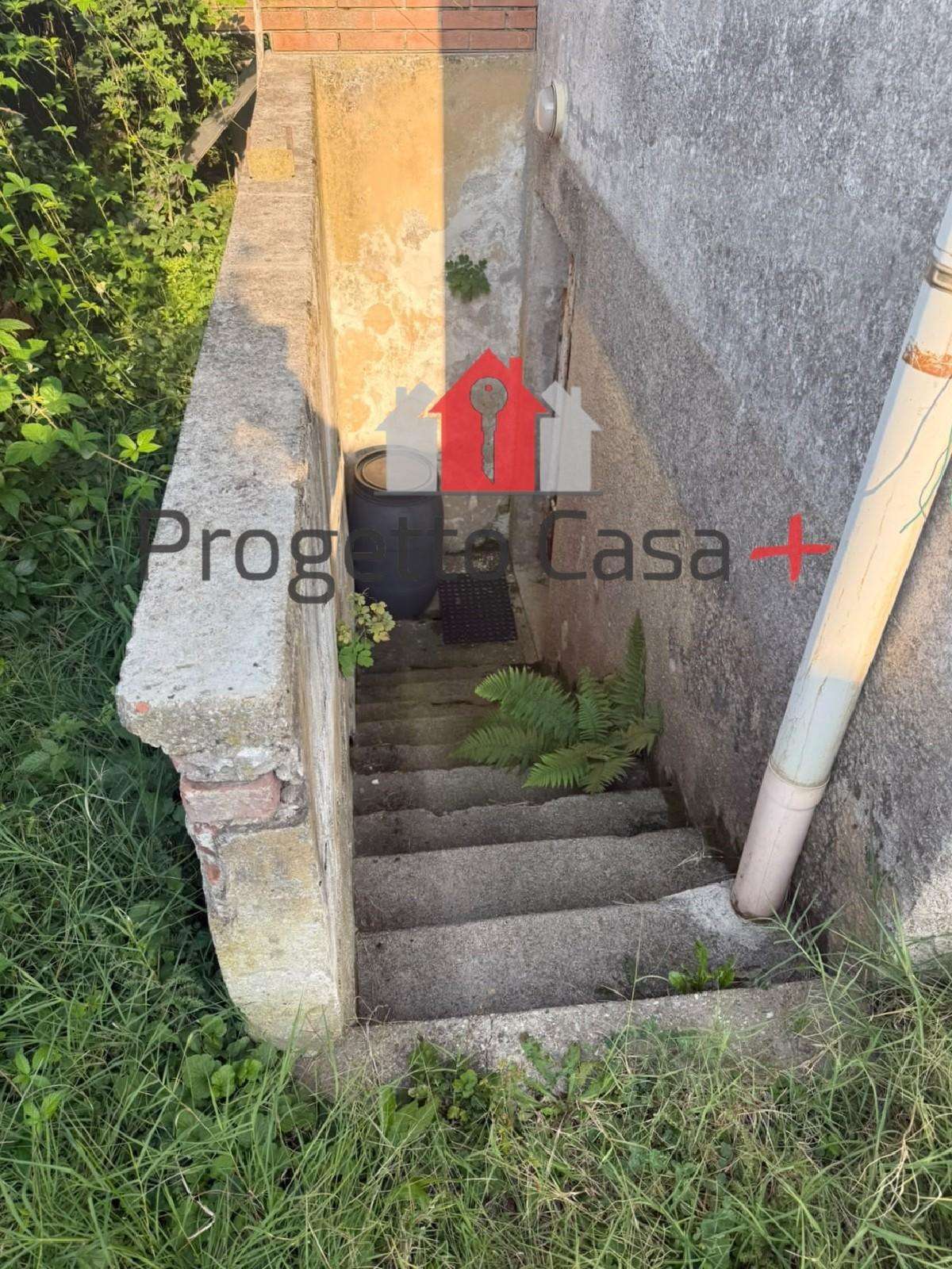 - foto 5
