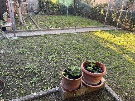  - foto 10