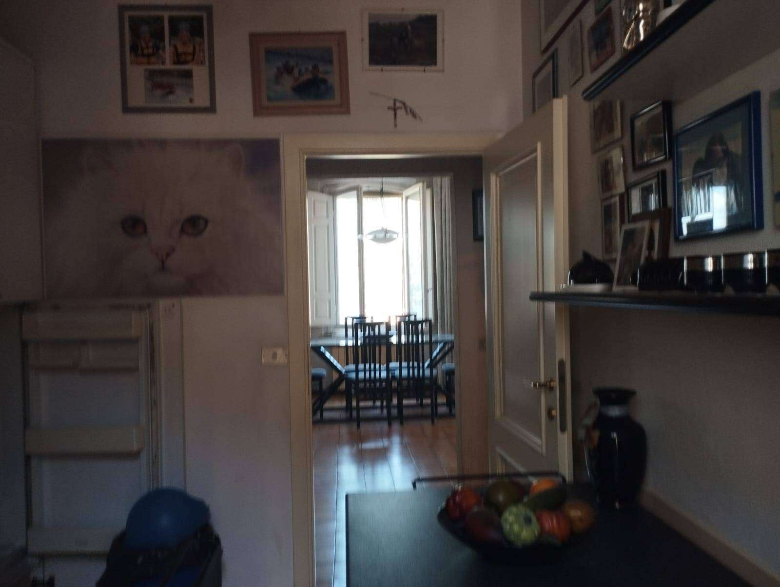  - foto 18