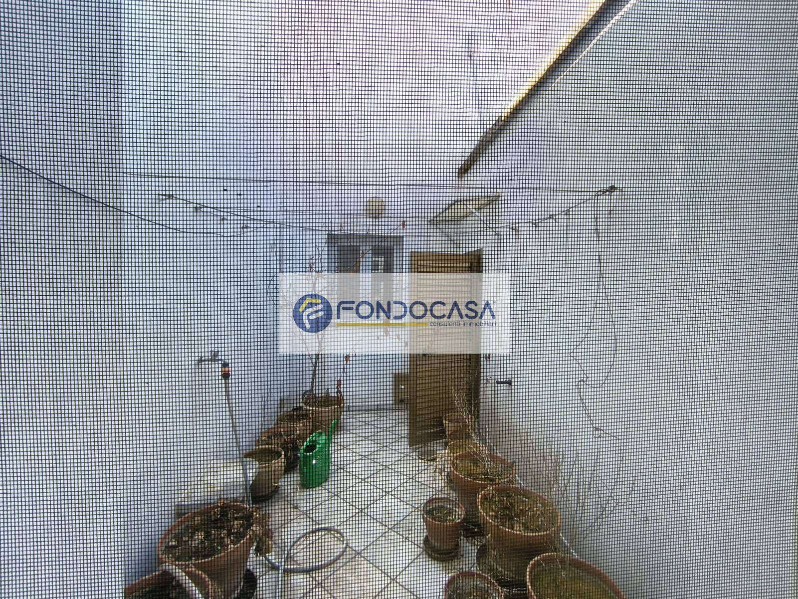  - foto 29