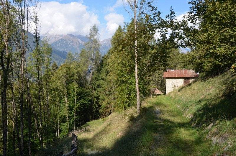  - foto 3