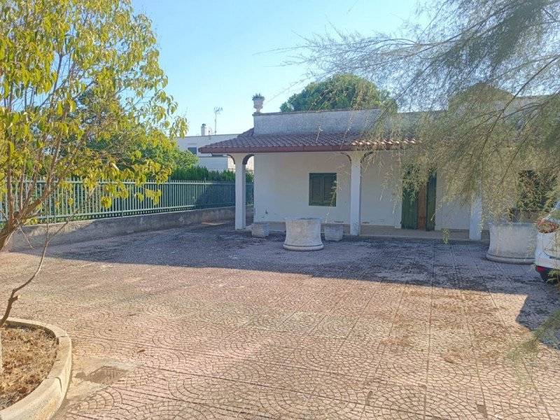  - foto 3