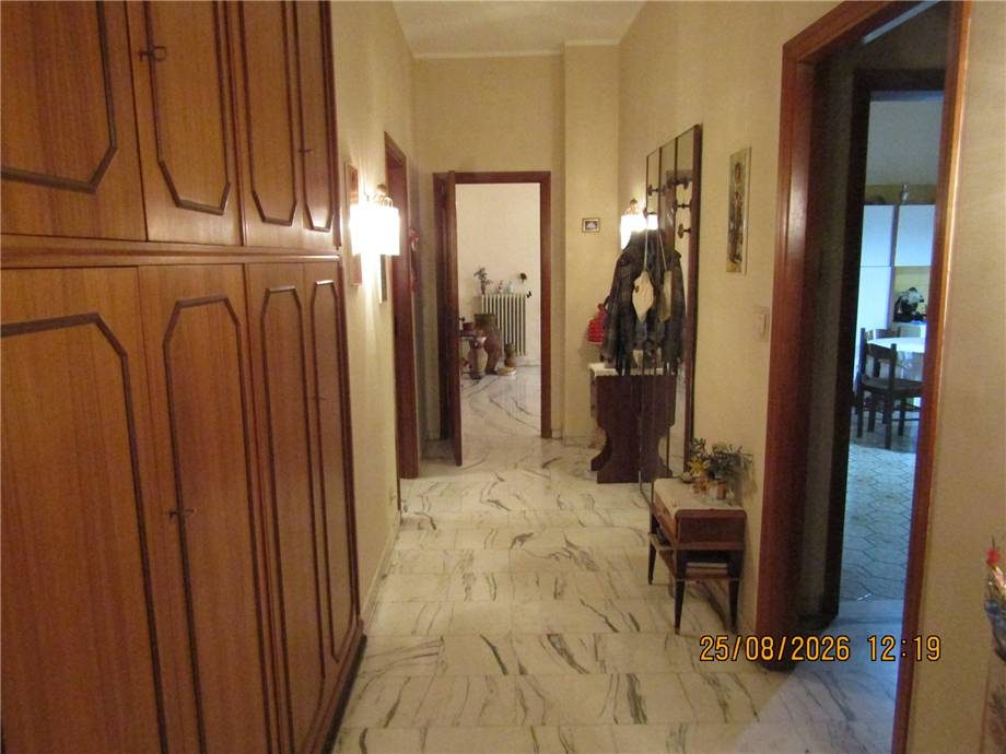  - foto 10