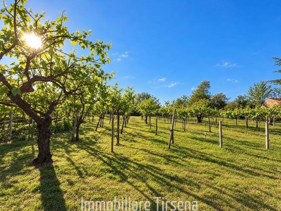  - foto 7