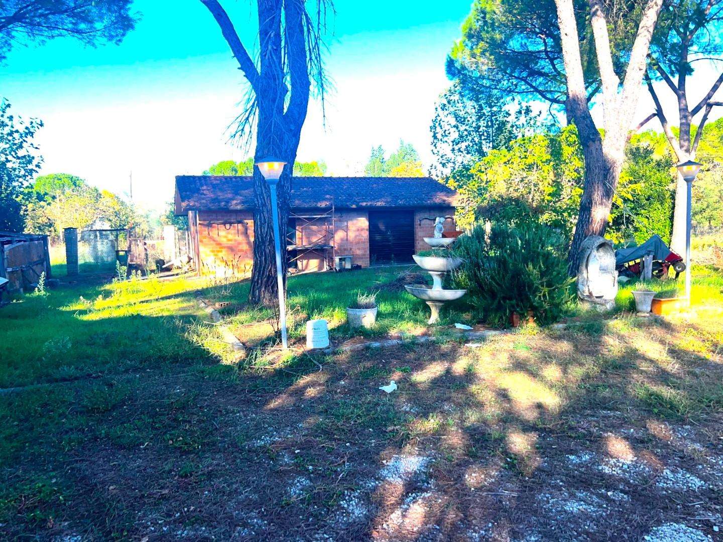  - foto 34