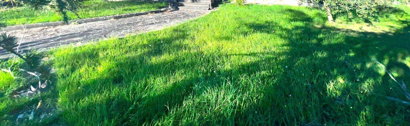  - foto 36
