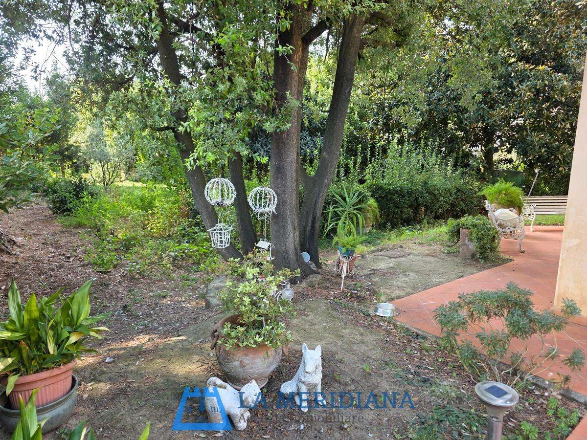  - foto 52