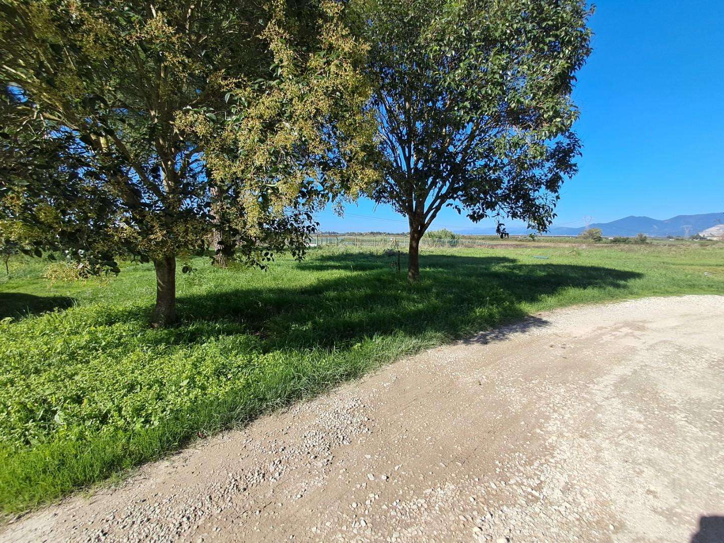  - foto 21