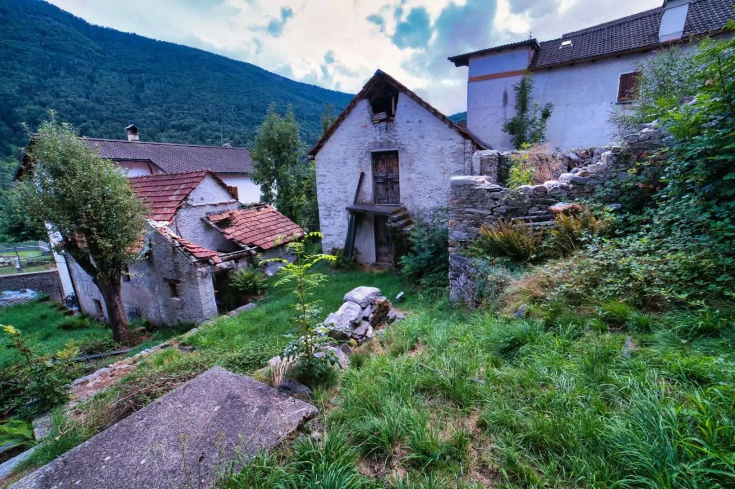  - foto 5