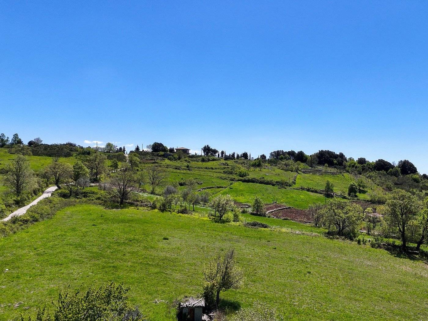 Terreno agricolo Località Elice, Trentinara