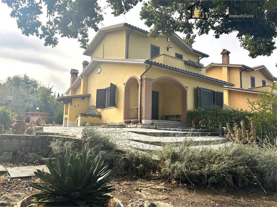  - foto 3