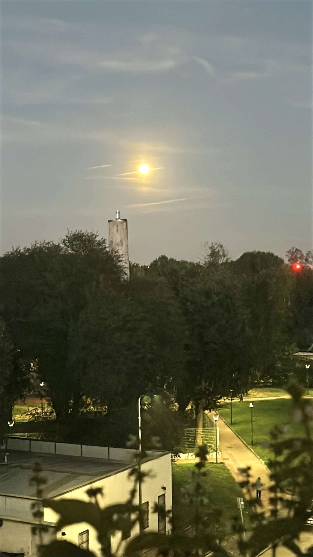  - foto 13