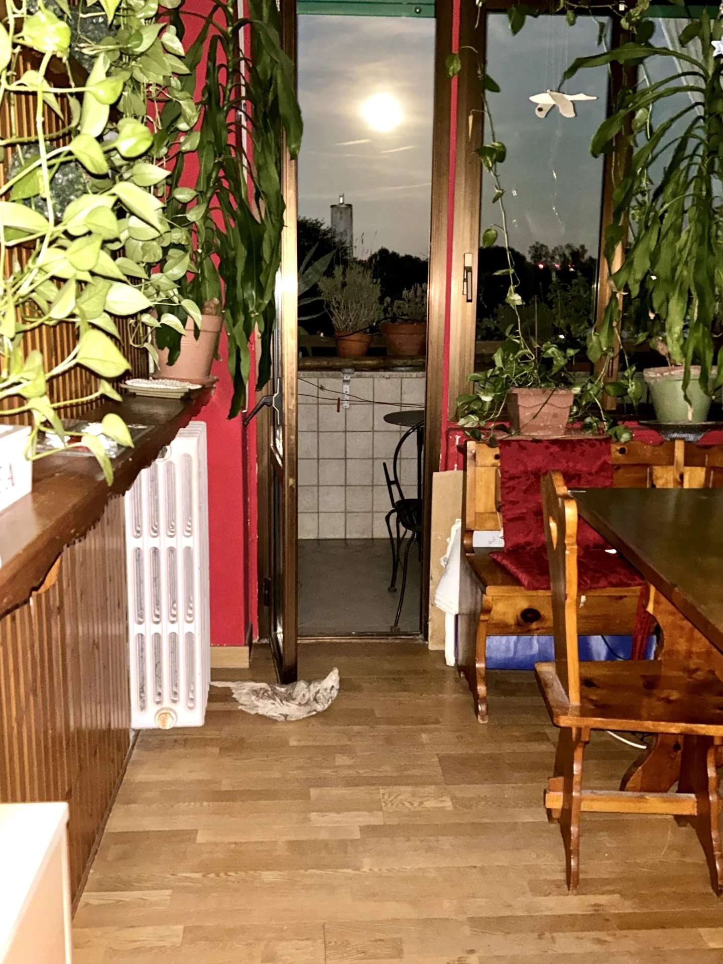  - foto 16