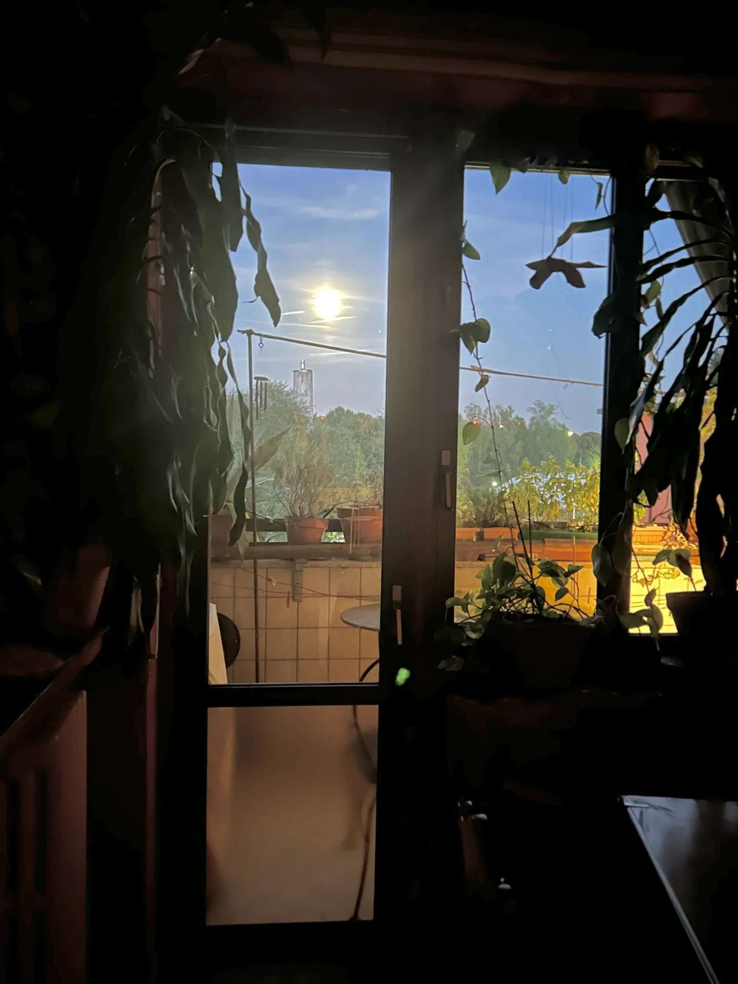  - foto 17