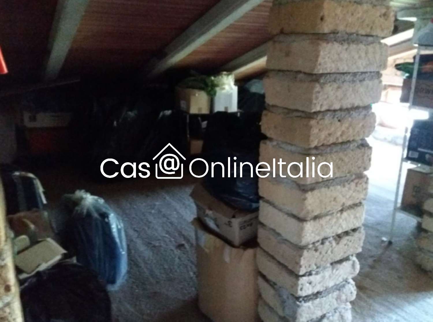  - foto 15