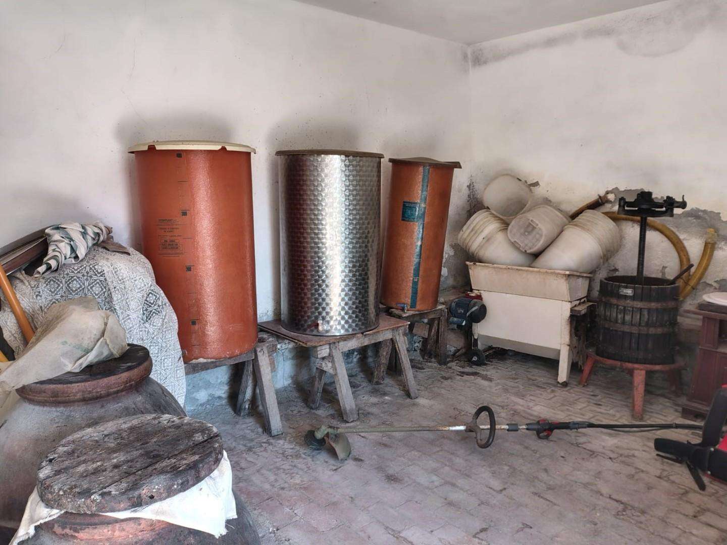  - foto 12