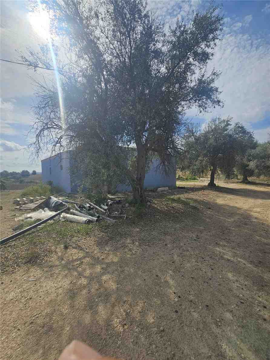  - foto 2