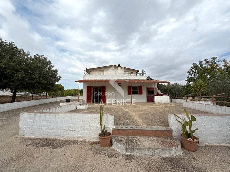  - foto 6