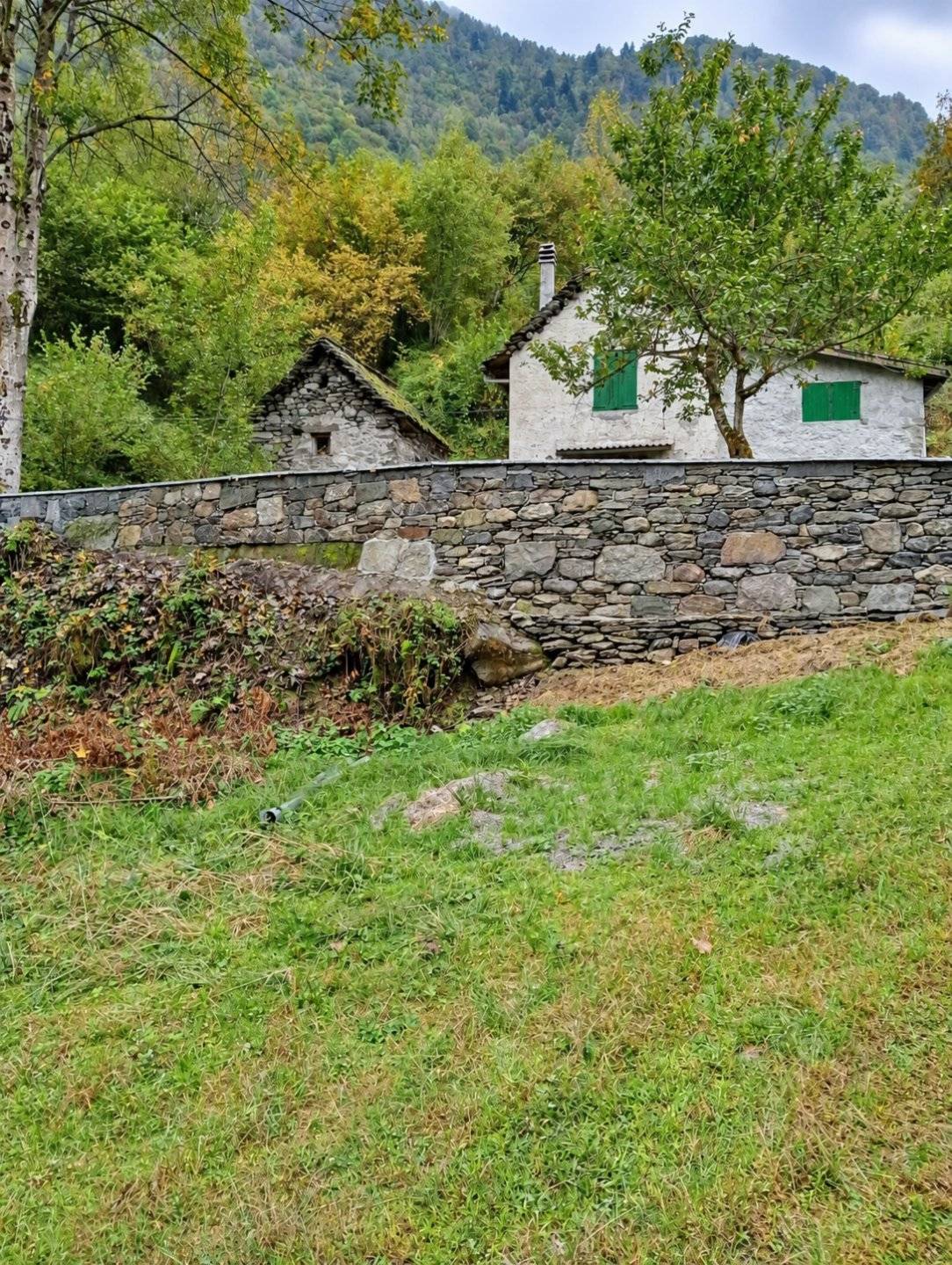  - foto 2
