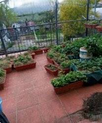  - foto 5