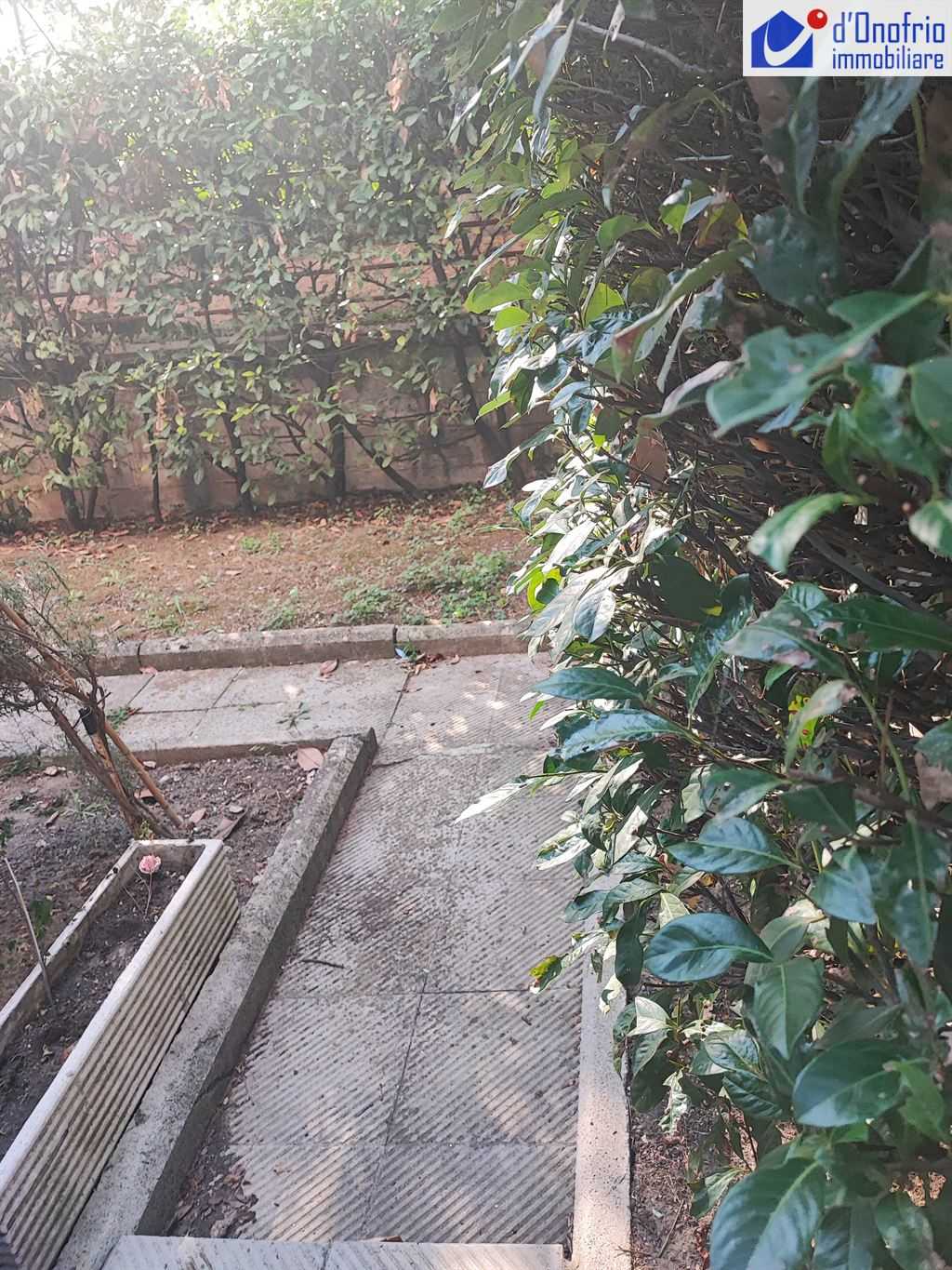  - foto 13