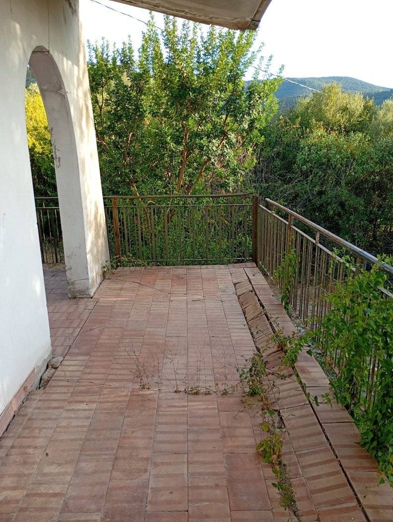  - foto 5
