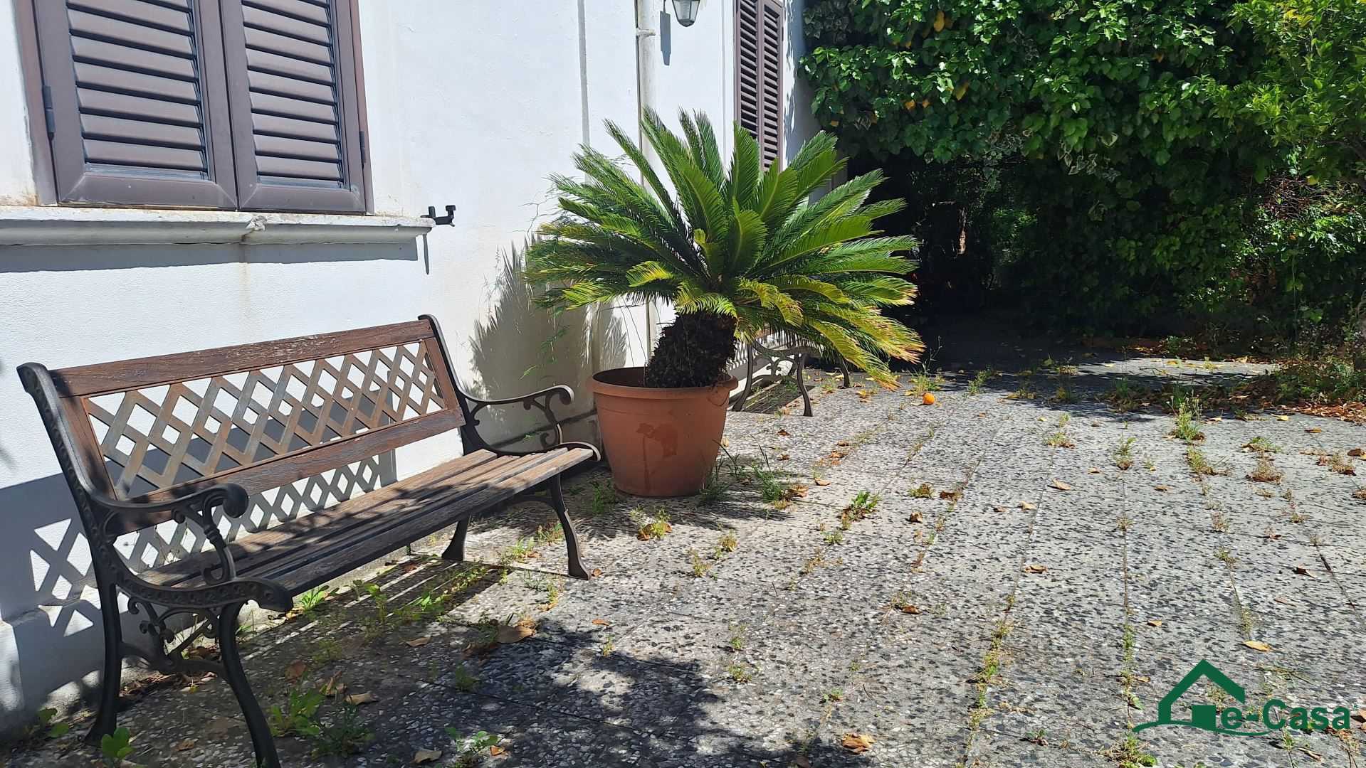  - foto 6
