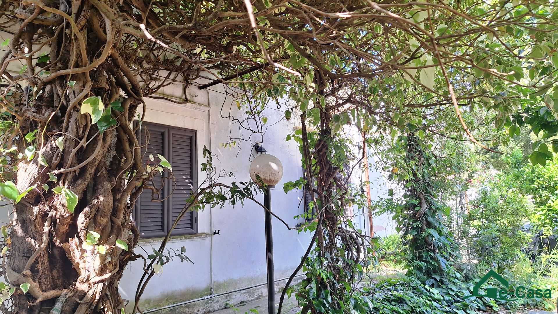  - foto 9