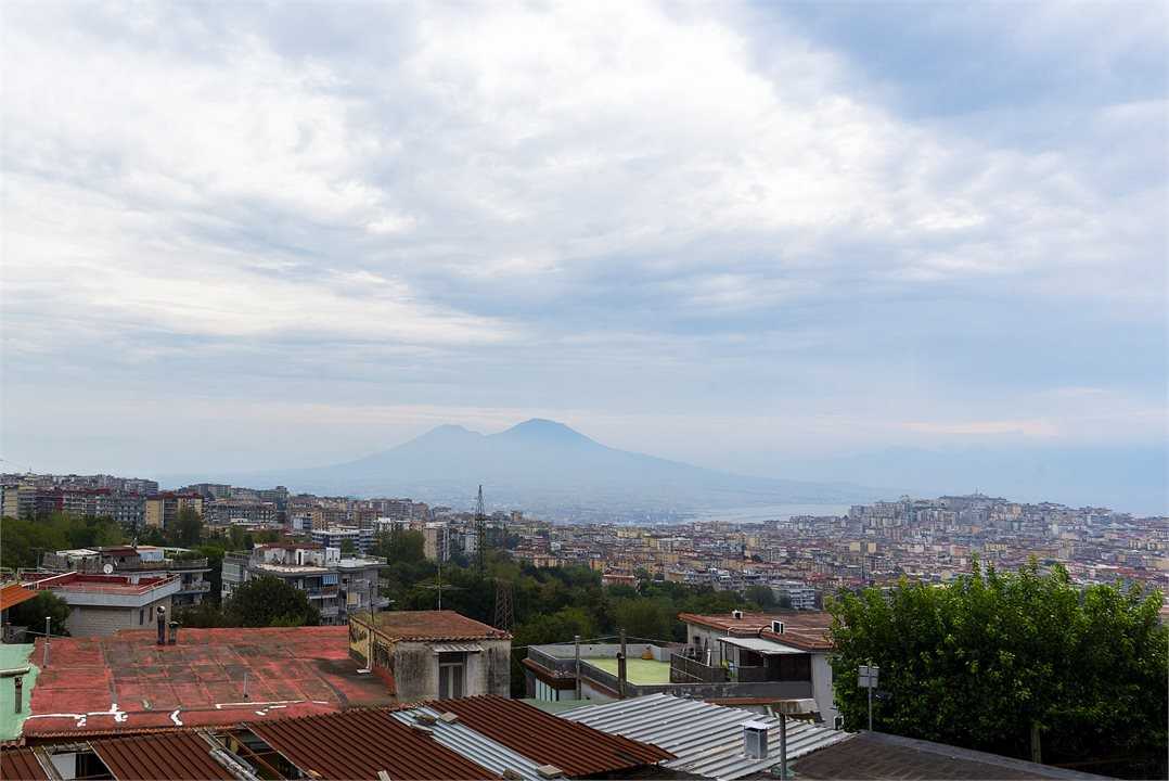 - foto 7
