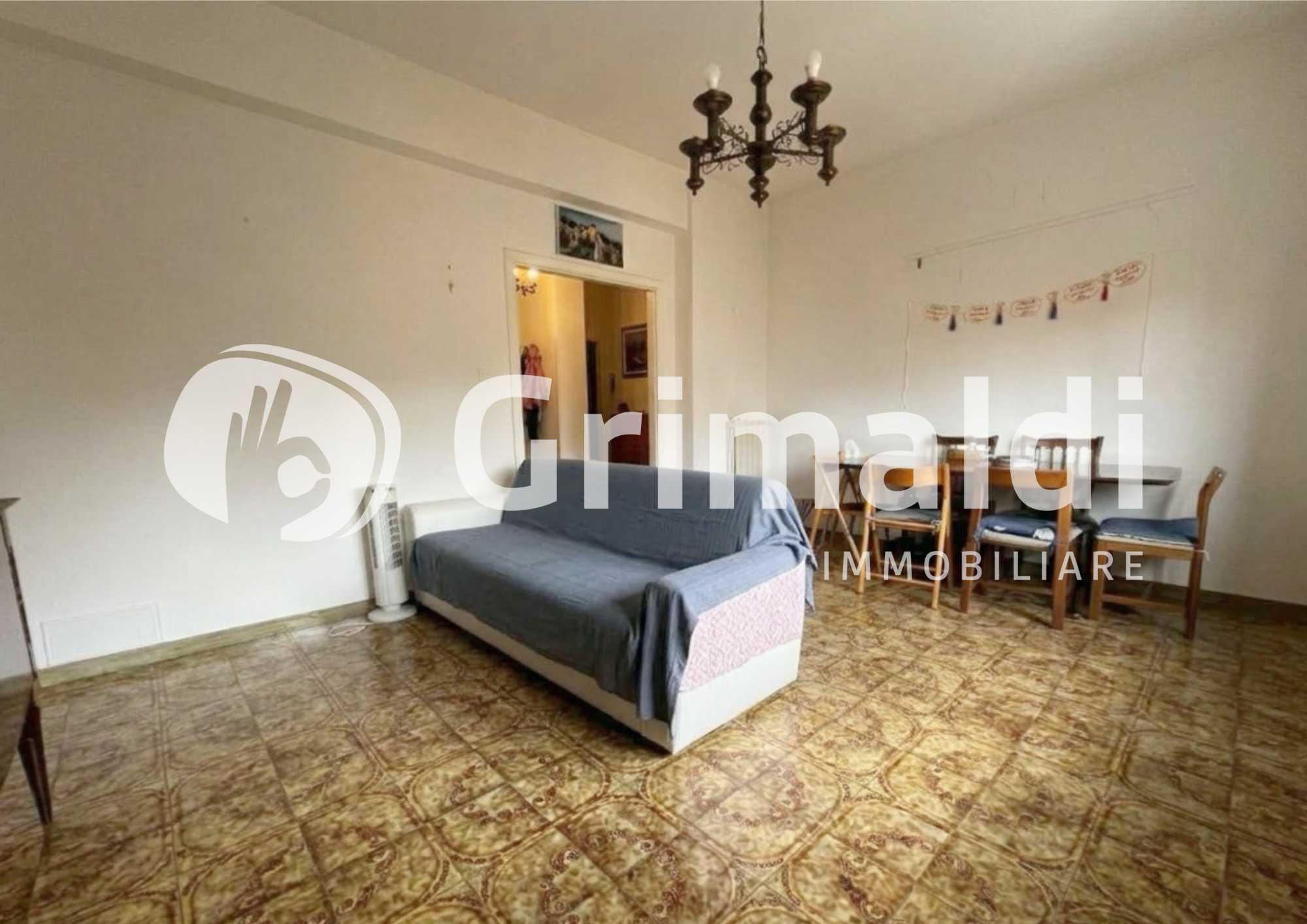  - foto 11