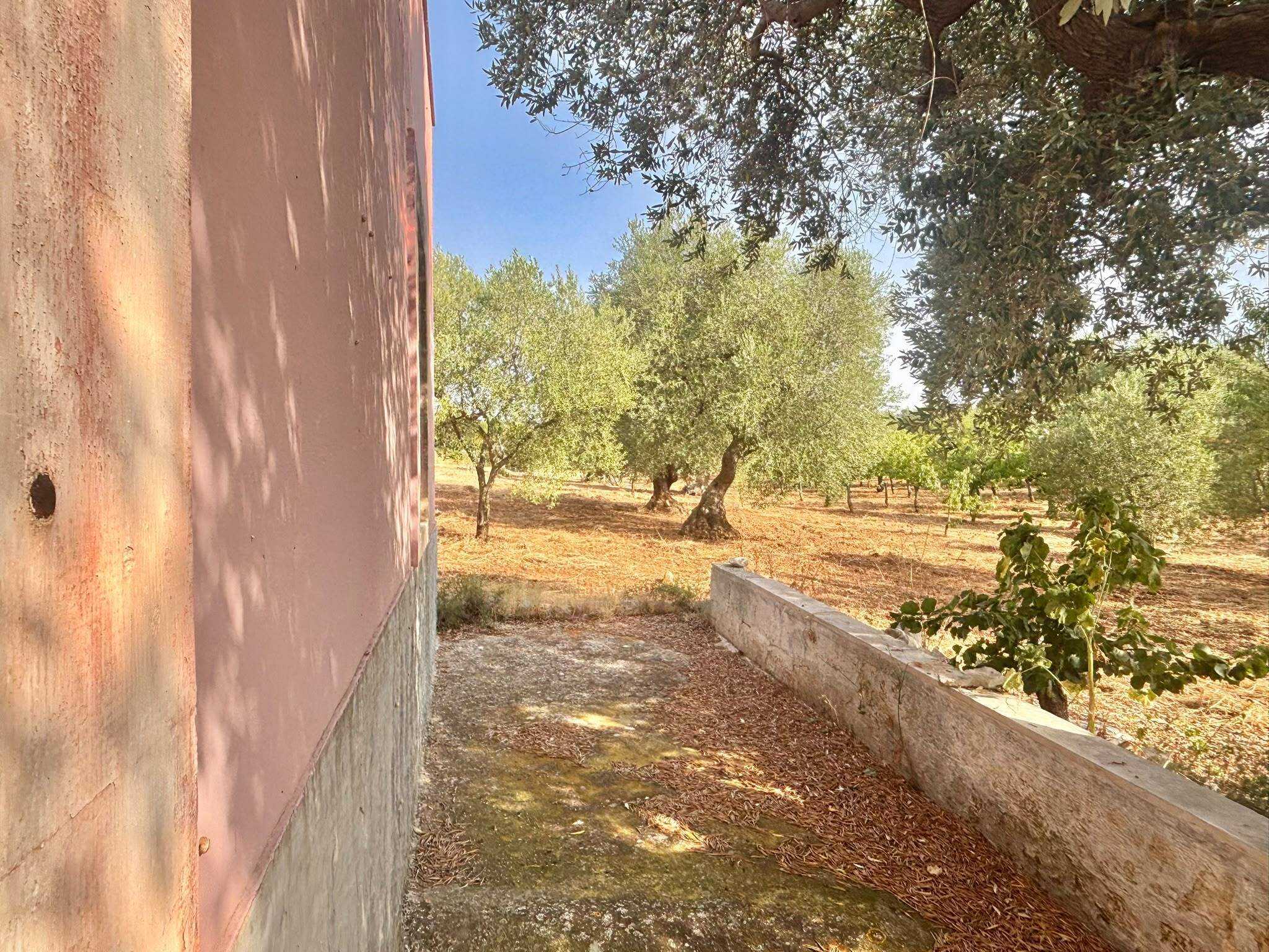  - foto 11