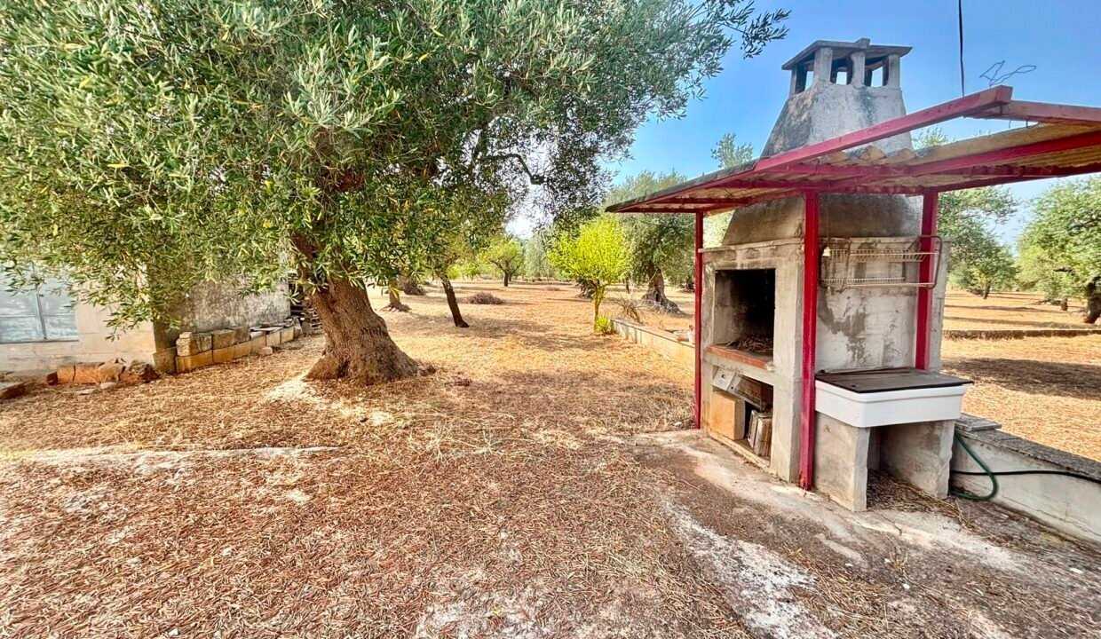  - foto 5