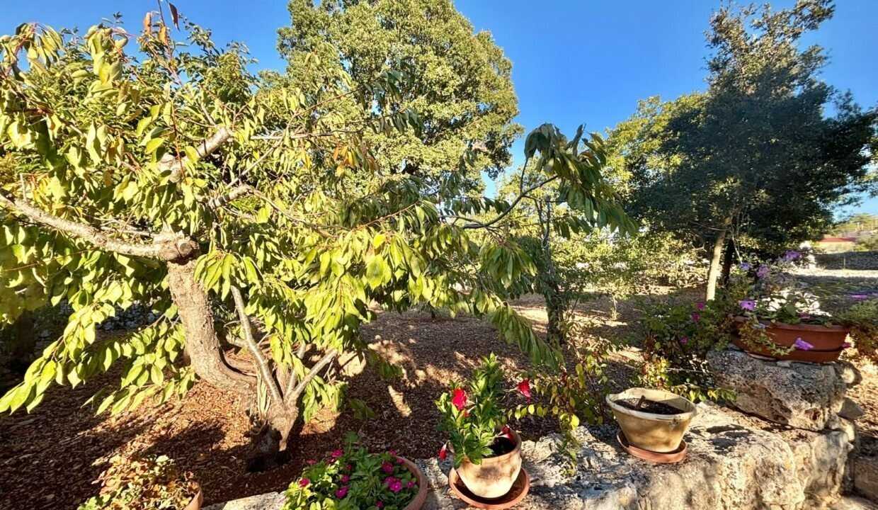  - foto 10