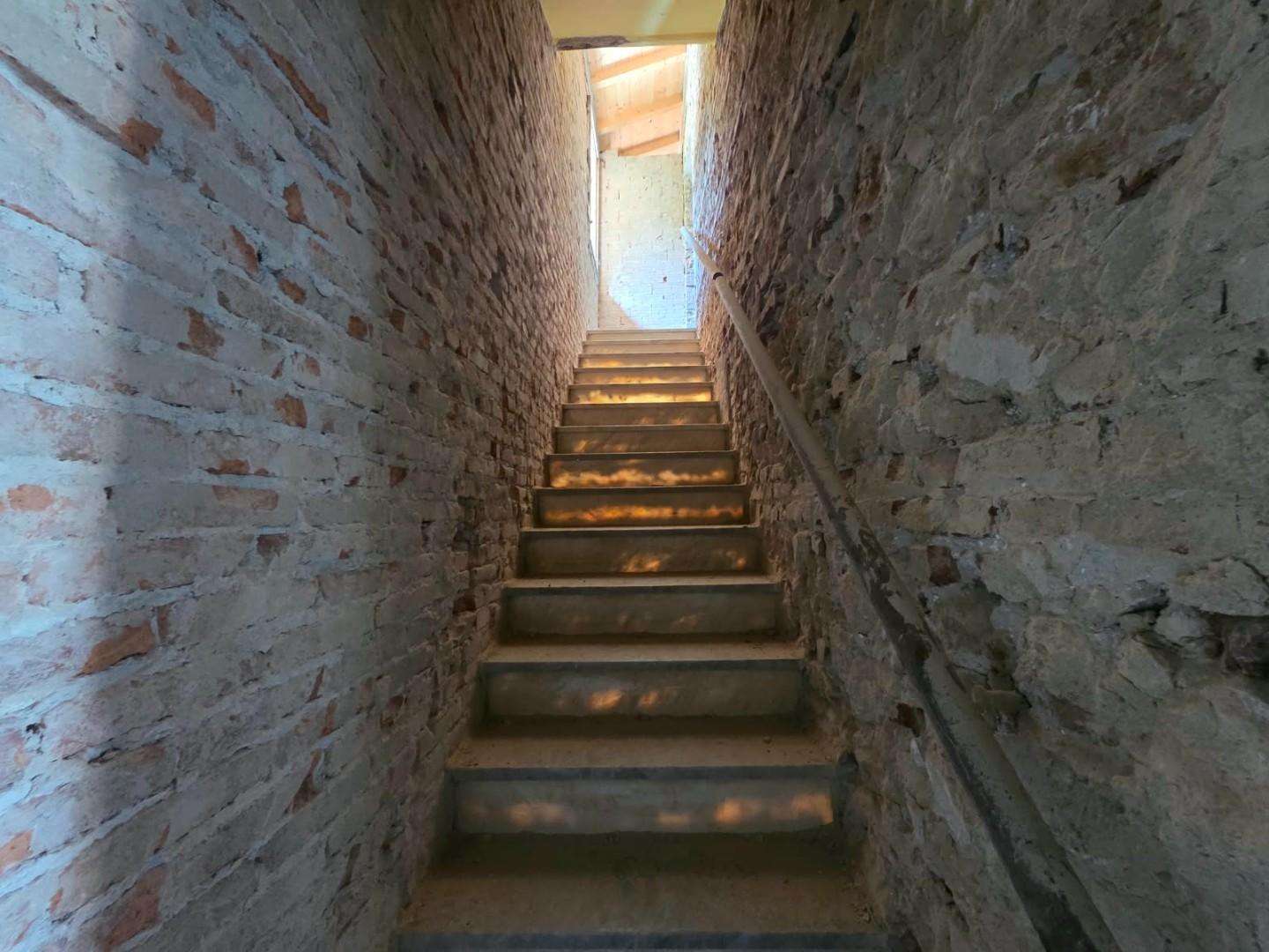  - foto 12