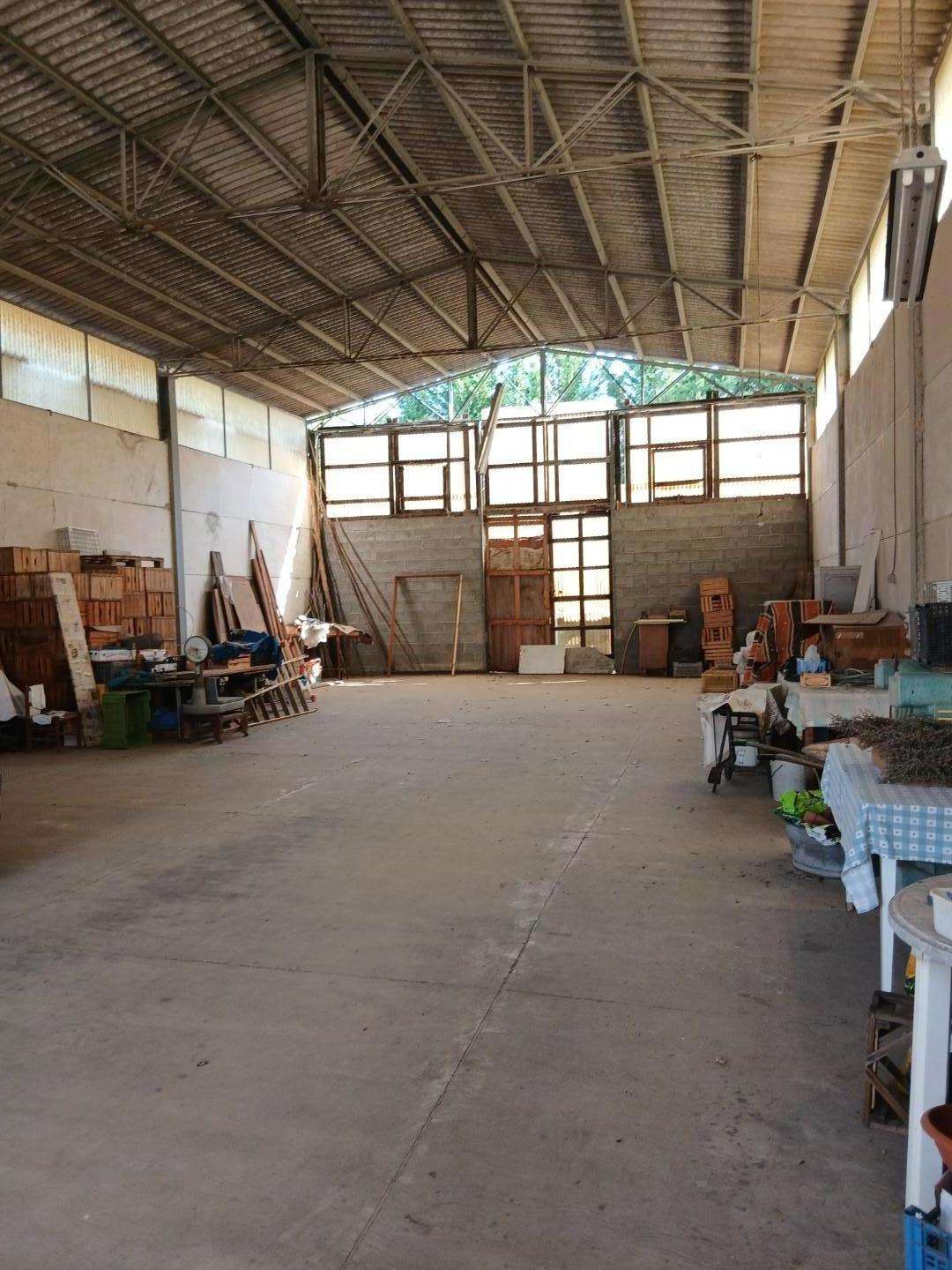  - foto 4