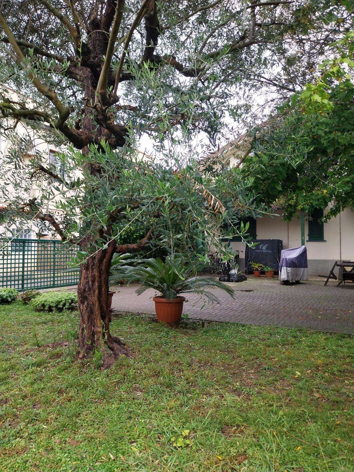  - foto 2