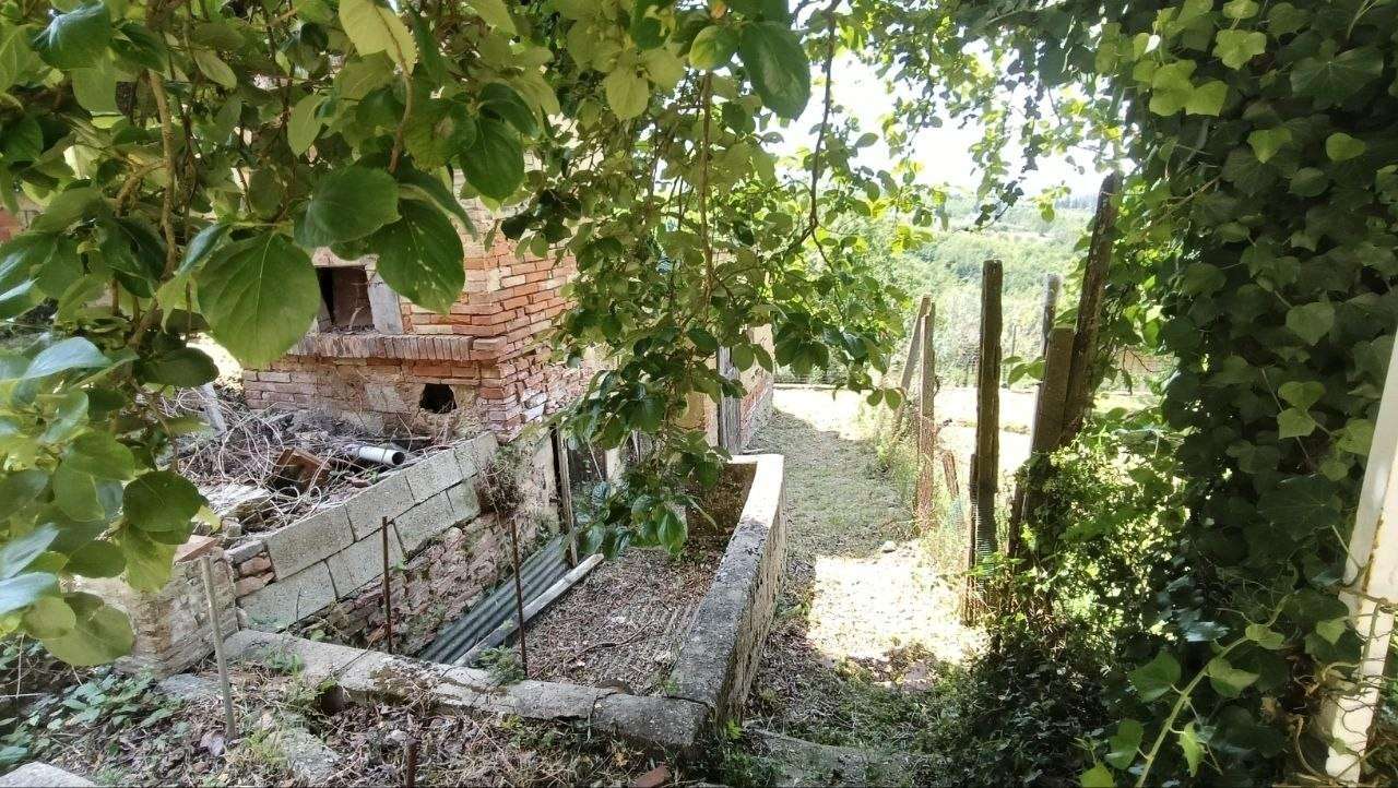  - foto 12