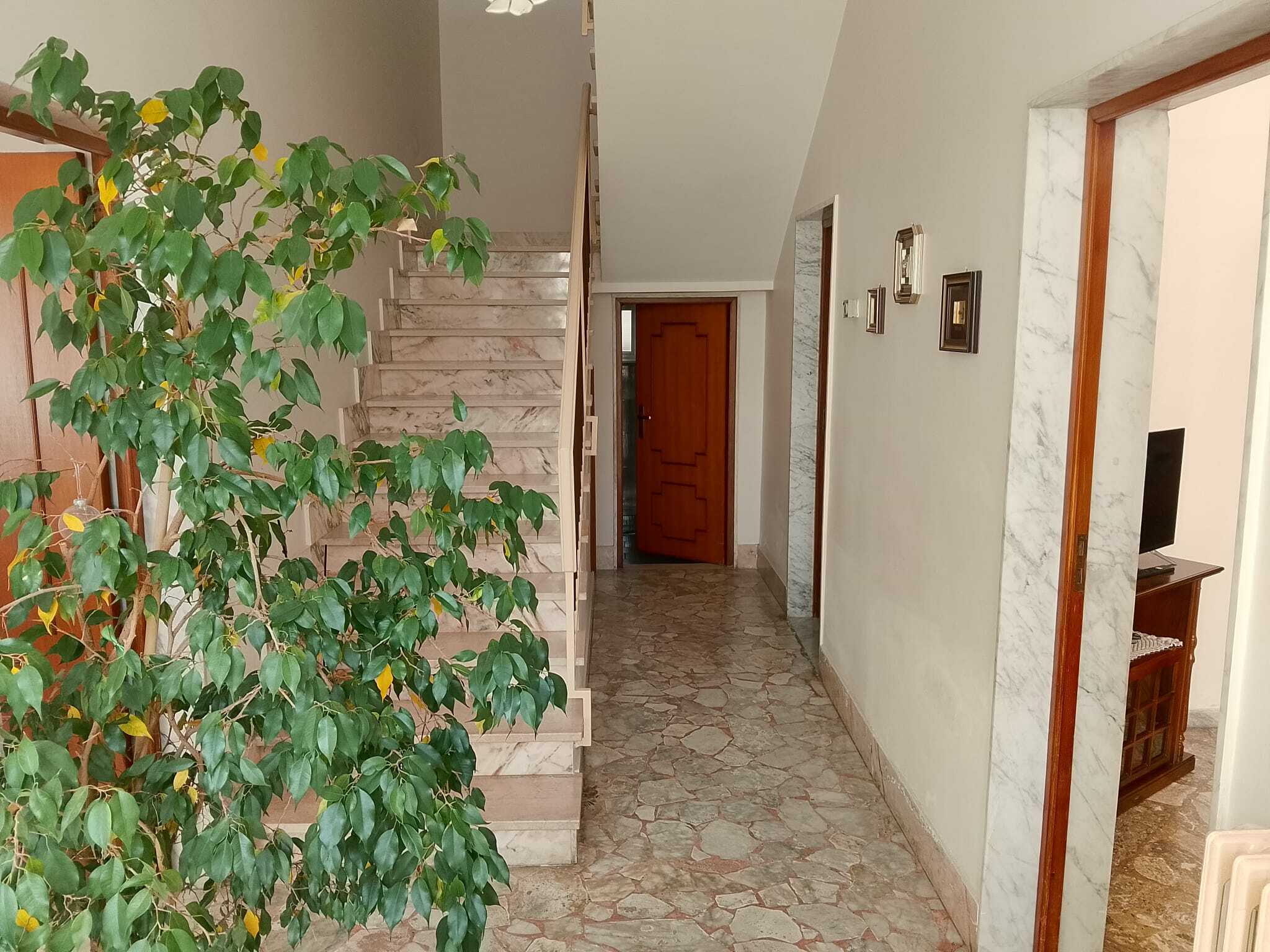  - foto 15