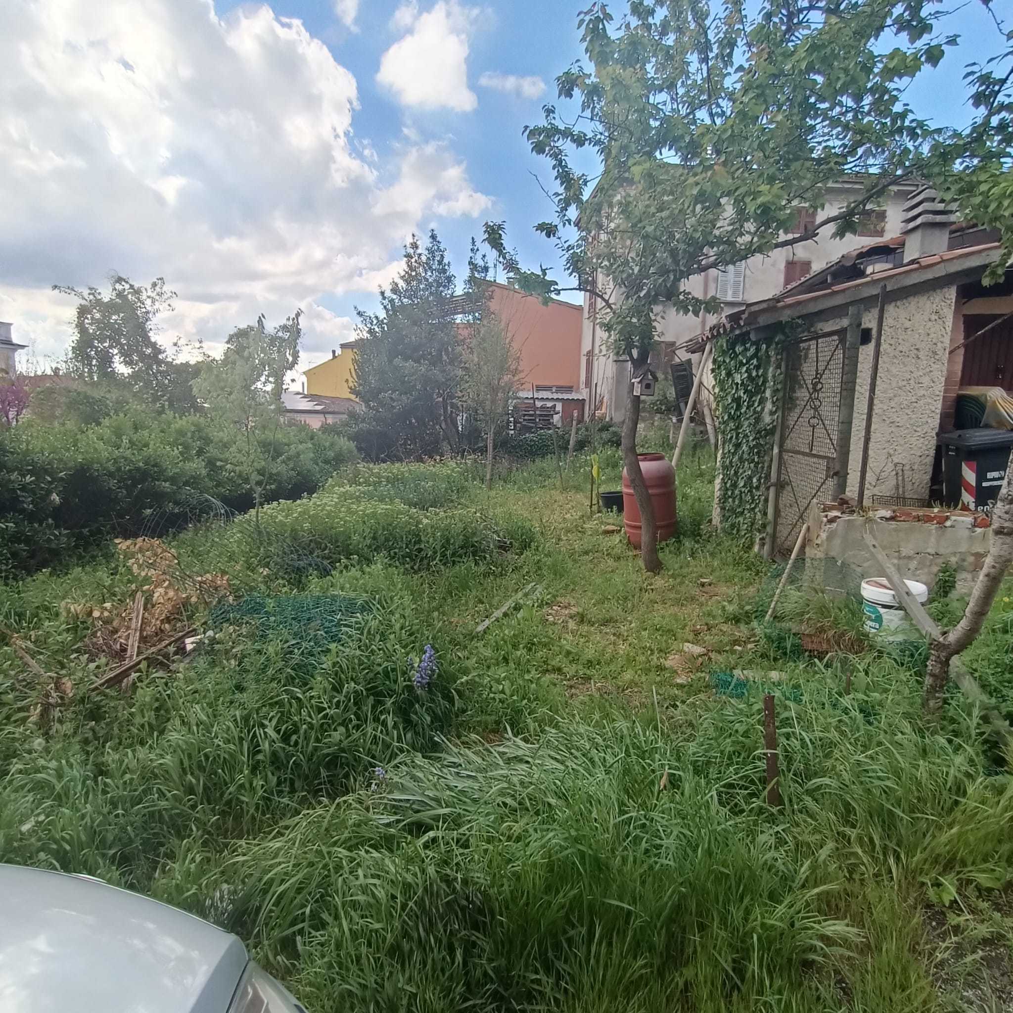  - foto 15