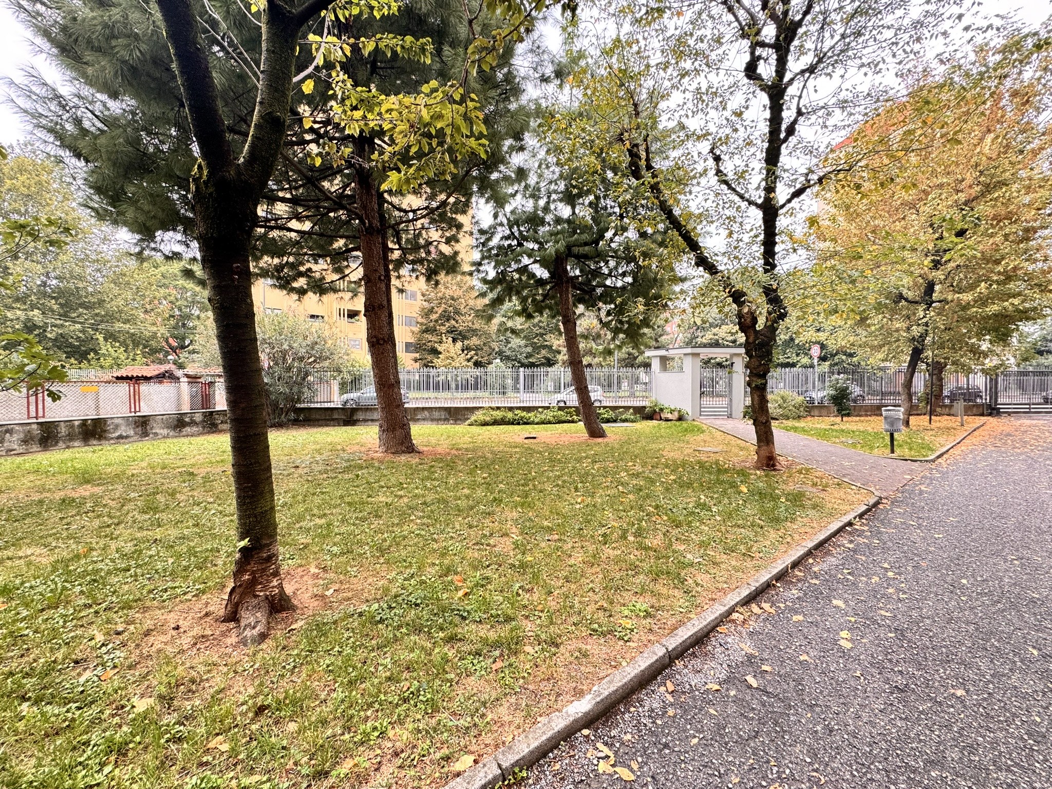  - foto 39