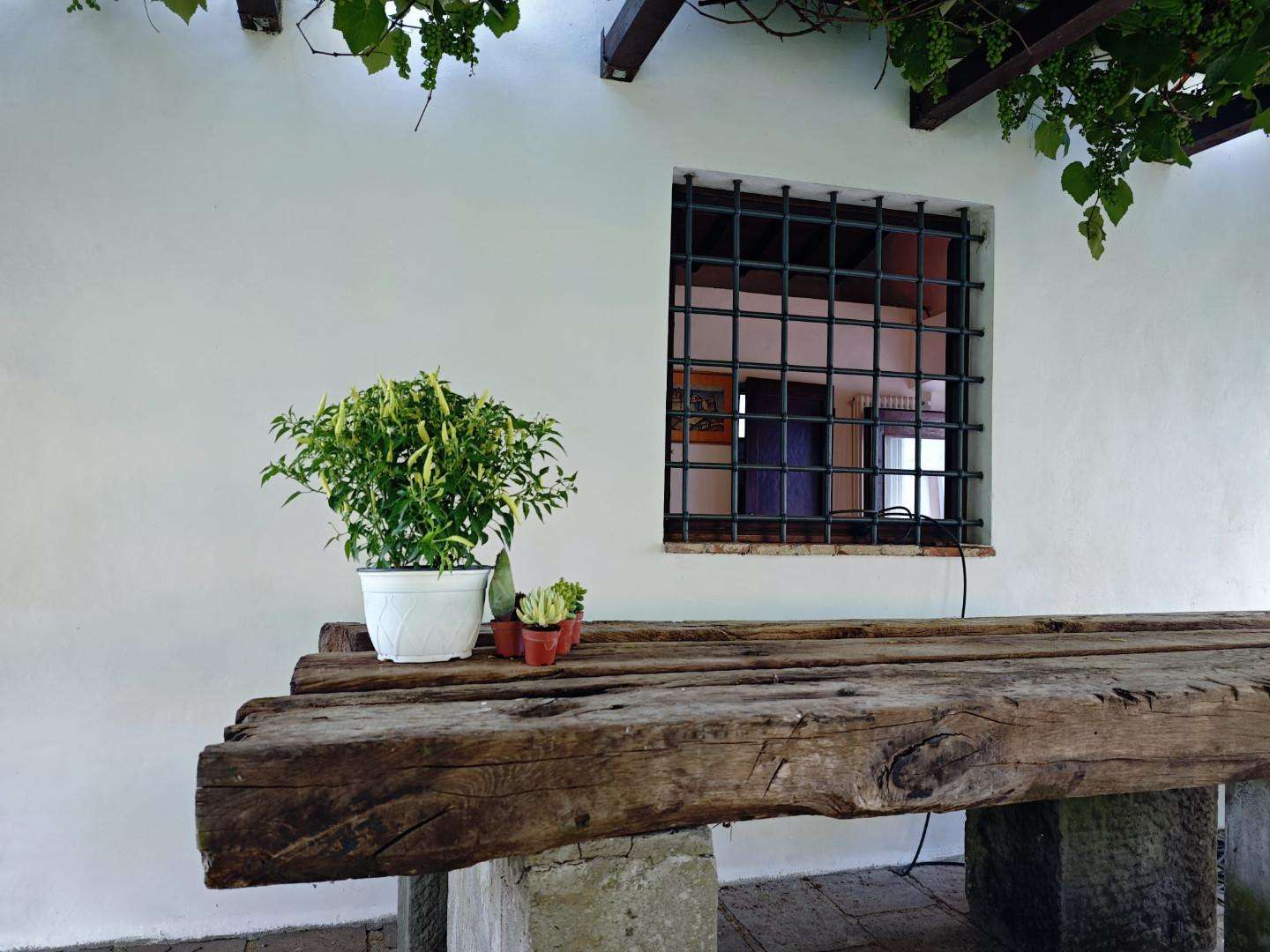  - foto 10