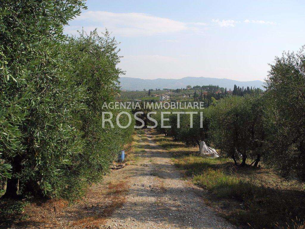 Terreno agricolo, Cerreto Guidi