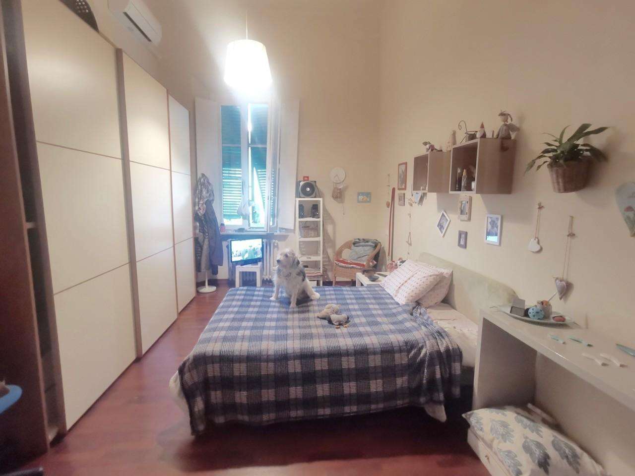  - foto 15