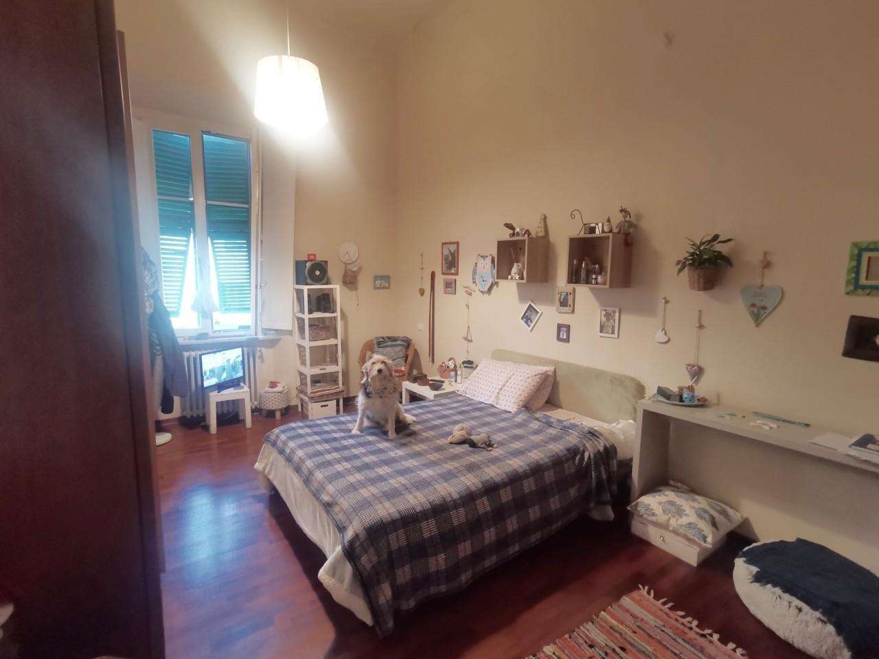  - foto 16